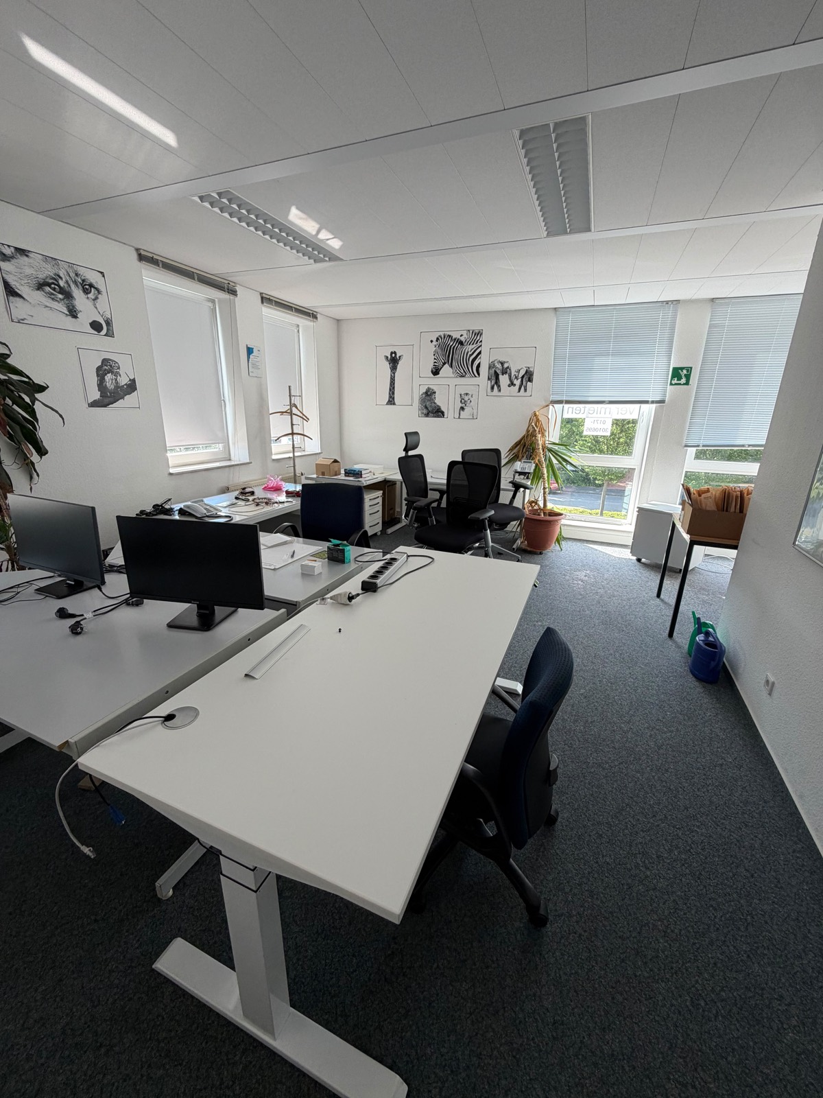 Voll eingerichtetes Büro mit Möbeln und Technik vor der Büroauflösung